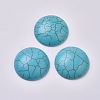 Synthetic Turquoise Cabochons G-TAC0001-01B-2