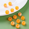 Acrylic European Beads MACR-S375-002A-06-6