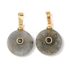 Natural Labradorite Pendants G-P628-03G-04-1