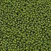Baking Paint Glass Seed Beads SEED-S001-K9-2