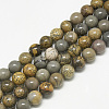 Natural Dendritic Jasper Beads Strands G-S300-123-6mm-1