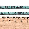 Dyed Synthetic Turquoise Beads Strands G-Z089-A04-H-6