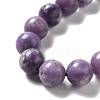 Natural Lepidolite/Purple Mica Stone Beads Strands G-B029-B03-04-3