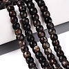 Natural Biotite Beads Strands G-Q616-02A-11-1
