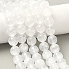 Natural Selenite Beads Strands G-L552H-16D-1