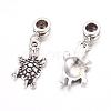 Alloy European Dangle Charms X-PALLOY-JF00001-10-2