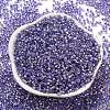 Glass Seed Beads SEED-S042-04A-08-2
