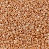 MIYUKI Round Rocailles Beads X-SEED-G008-RR0580-3
