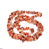 Natural South Red Agate Chips Bead Strands X-G-M205-40-2