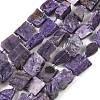 Natural Charoite Beads Strands G-D101-B17-2