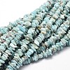 Chip Natural Larimar Bead Strands G-M349-09-2
