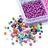 288G 24 Colors 8/0 Baking Paint K9 Glass Seed Beads SEED-FS0001-10-4