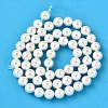 Rainbow Plated Shell Pearl Bead Strands BSHE-L025-02-10mm-2