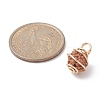 Natural Rudraksha Copper Wire Wrapped Pendants PALLOY-JF02068-01-4