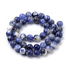 Natural South Africa Sodalite Beads Strands X-G-S259-35-10mm-3
