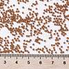 MIYUKI Round Rocailles Beads X-SEED-G009-RR4458-4