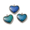 304 Stainless Steel Enamel Charms X-STAS-L022-094P-1