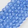 Transparent Glass Bead Strands GLAA-G013-10mm-25-1