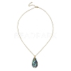 Natural Paua Shell Teardrop Pendant 304 Stainless Steel Cable Chain Necklaces NJEW-JN06362-3