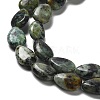Natural African Turquoise(Jasper) Beads Strands G-L585-F01-01-3