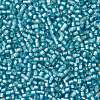 TOHO Round Seed Beads SEED-JPTR11-0023F-2