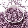 6/0 Glass Seed Beads X1-SEED-L011-08A-29-2