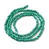 Natural Howlite Beads Strands G-C025-02A-02-3