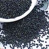 MIYUKI Round Rocailles Beads X-SEED-G007-RR0452-1