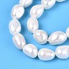 Natural Cultured Freshwater Pearl Beads Strands PEAR-N014-06I-01-4