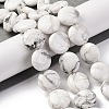 Natural Howlite Beads Strands G-C159-A01-01-2