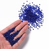 8/0 Glass Seed Beads SEED-A005-3mm-28-4