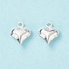 304 Stainless Steel Charms STAS-I138-11A-S-3
