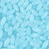 Opaque Colours Glass Seed Beads SEED-T007-16E-2