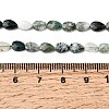 Natural Moss Agate Beads Strands G-B159-A09-5