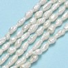 Natural Cultured Freshwater Pearl Beads Strands PEAR-J006-05A-2