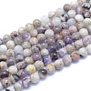 Natural Chevron Amethyst Beads Strands G-L552H-06A-1