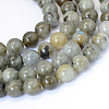 Natural Labradorite Round Bead Strands X-G-E334-6mm-19-1