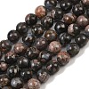 Natural Glaucophane Beads Strands G-R485-12-8mm-2