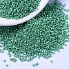 MIYUKI Delica Beads SEED-X0054-DB1182-1