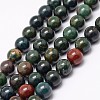 Natural Indian Bloodstone Beads Strands G-G735-33-6mm-1