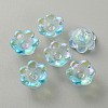 Handmade Lampwork Beads LAMP-CJC0008-16A-2