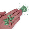 8/0 Czech Opaque Glass Seed Beads SEED-N004-003A-02-5