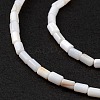 Natural Freshwater Shell Dyed Beads Strands X-SHEL-M018-12-12-4
