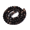 Natural Biotite Beads Strands G-Q616-02A-11-3