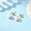 304 Stainless Steel Stud Earring Findings EJEW-JE07462-1