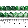 Dyed Natural White Jade Beads Strands G-T138-10mm-210-19-5