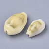Natural Cowrie Shell Beads X-SSHEL-N034-C-26-2