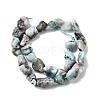 Natural Larimar Beads Strands G-P601-A21-02-3