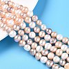Natural Cultured Freshwater Pearl Beads Strands PEAR-T003-10D-1
