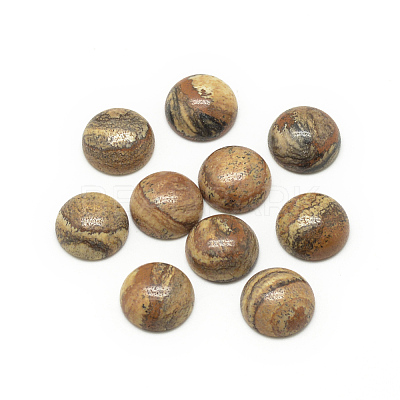 Natural Picture Jasper Cabochons G-R416-10mm-42-1